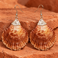 Samudra Amber Brown Scallop Shell Earrings | MyJhumki