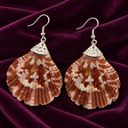 Samudra Chocolate Ivory Scallop Shell Earrings | MyJhumki